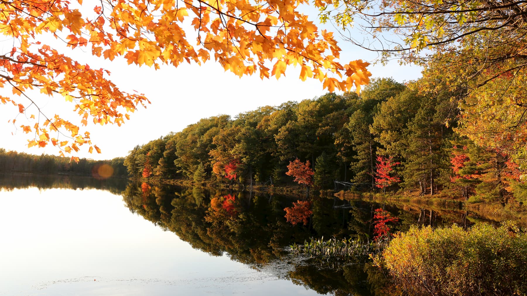 We Love the Northwoods We Love the Northwoods